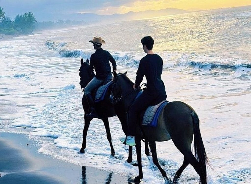 Horse Riding 2