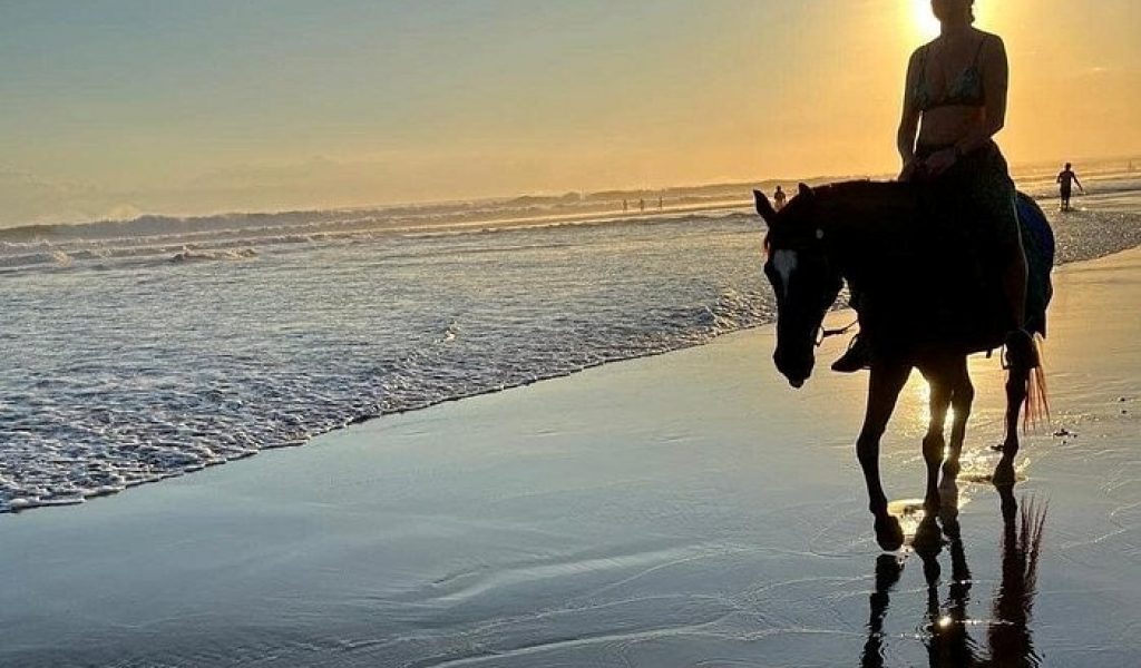 Horse Riding 3