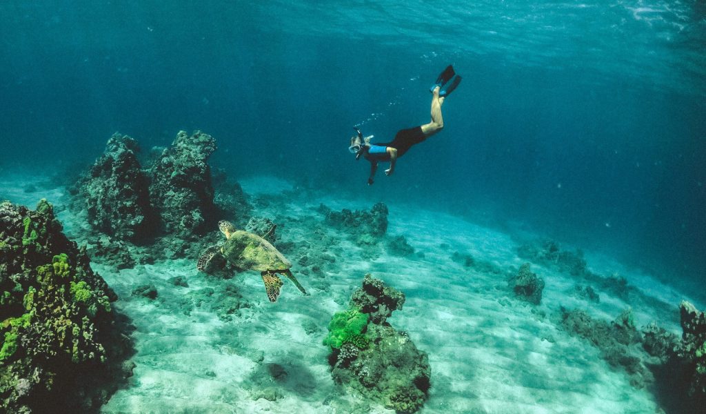 snorkeling1