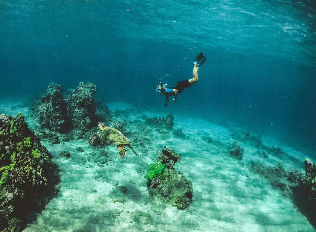 snorkeling1